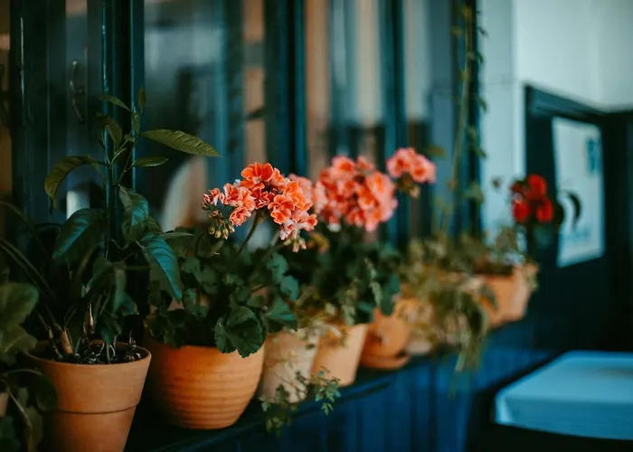 Ξενοδοχείο Gasthof Rahofer